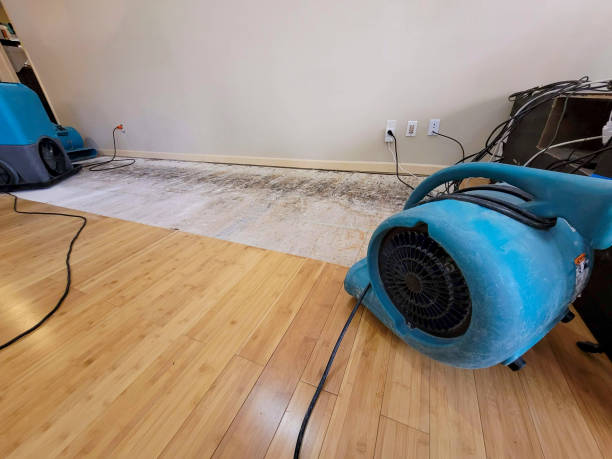 Professional Water Extraction technician working in Rush Hill, MO